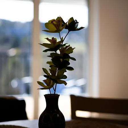 Lejlighed Ale Widok Cicha - Centrum Z Miejscem Postojowym *